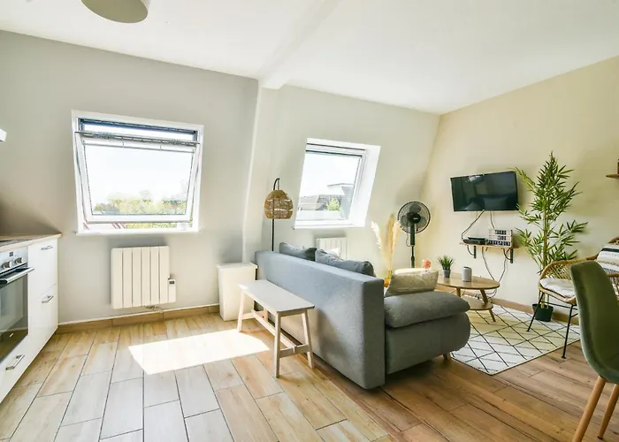 Le Duplex Inversé Apartamento Estrasburgo